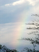 ●雨上がり後の虹