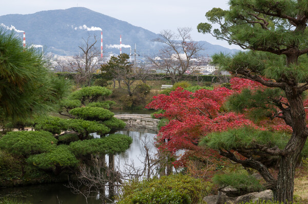 庭園