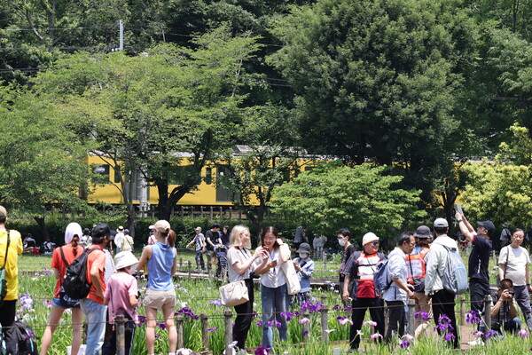 祭りなんで　花より人間