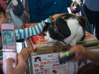 スーパー駅長　たま