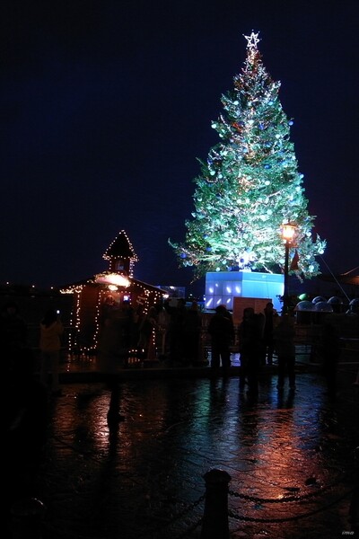 2009函館クリスマスファンタジー