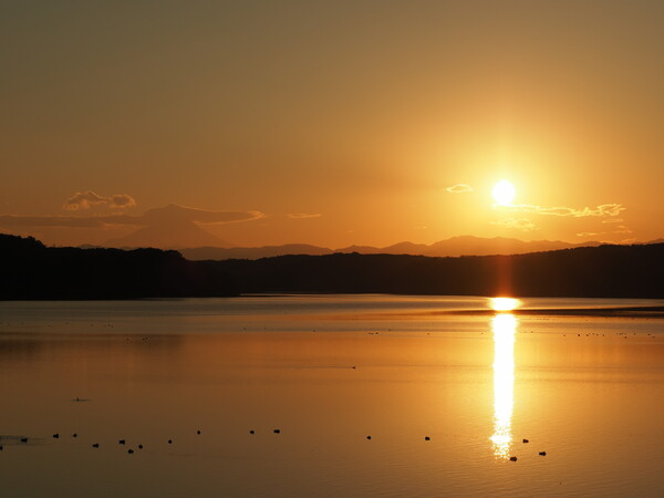 夕なずむ狭山湖