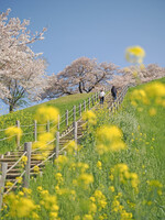 古に想いを馳せる