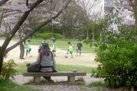 桜公園