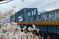 小田急線の鉄橋です。