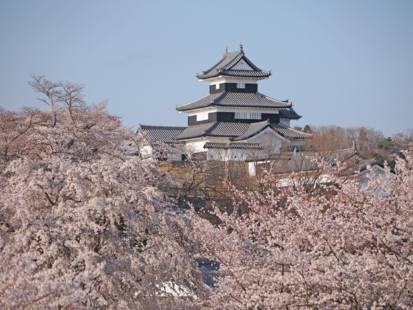 いにしえの春を思う〜白河小峰城〜３