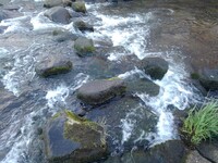 飛び石の隙間のパワフル水流