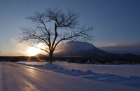 【木】永久に・・・（その３）2011年暮れ