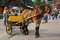 Taxi in Zakopane