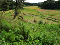 田舎の風景の撮影と録音