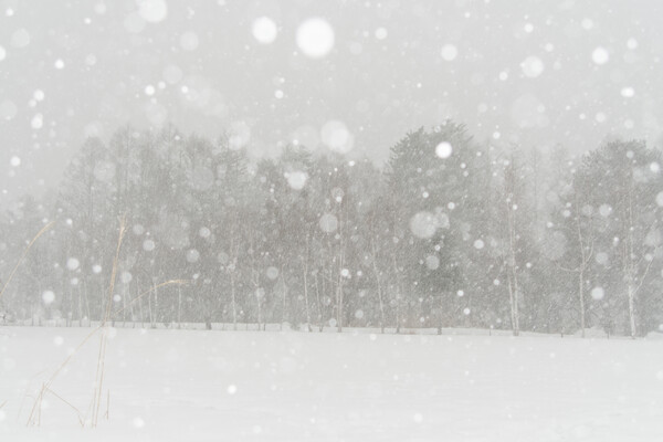 雪が降るⅡ