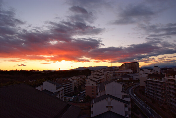 「トキメキの色」遠くに富士山を望む