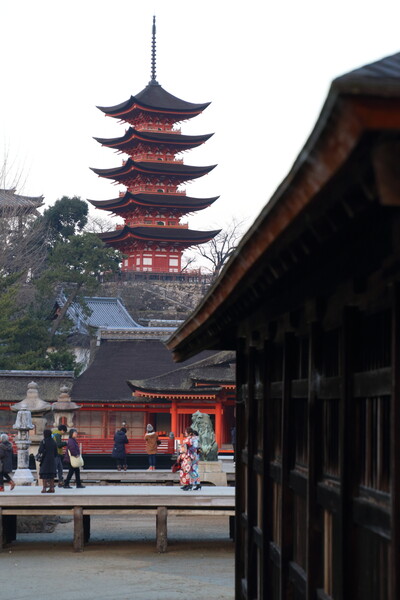 【寺社百景】正月の厳島神社