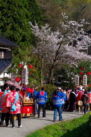 【桜】春祭