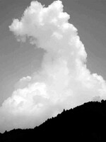 サヨナラ　　夏雲