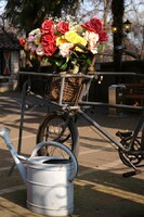 【花】と自転車とジョウロと