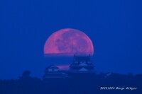 松山城に中秋の名月　（１０・４ 朝）