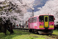 満開の桜駅