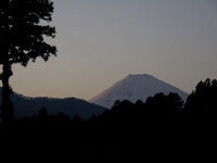 夕闇の富士山