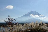11/14の富士山(2)精進湖にて