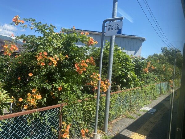 田舎の無人駅