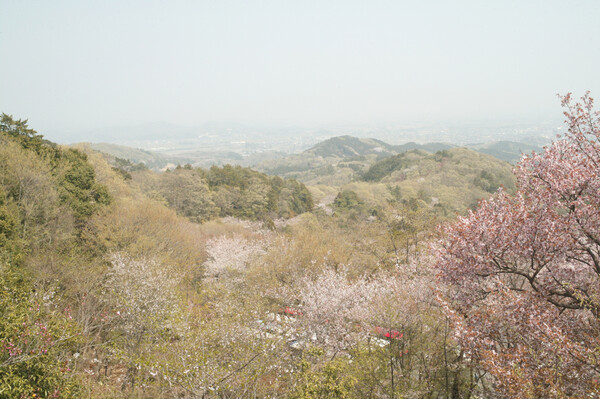 栃木県、大平山