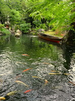 愛宕神社境内の池