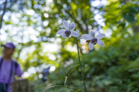 紫コーディネート