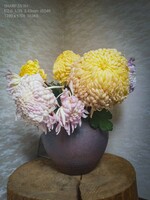 正月生花の大輪菊