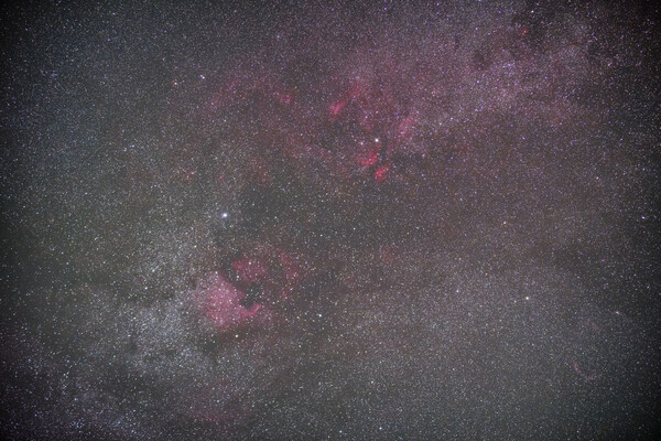 白鳥座の散光星雲たち
