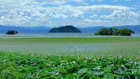 水際―琵琶湖