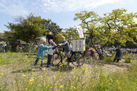 【花のある風景】天草の案山子祭り