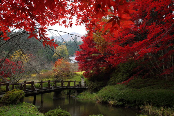 栗尾山満願寺紅葉