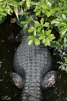 頭隠して．．．