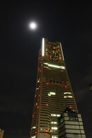 YOKOHAMA Night