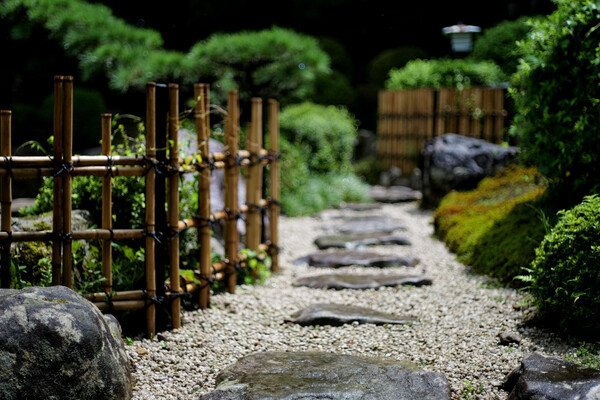 夏雨