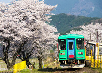 桜見鉄道