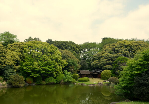 国立博物館の日本庭園