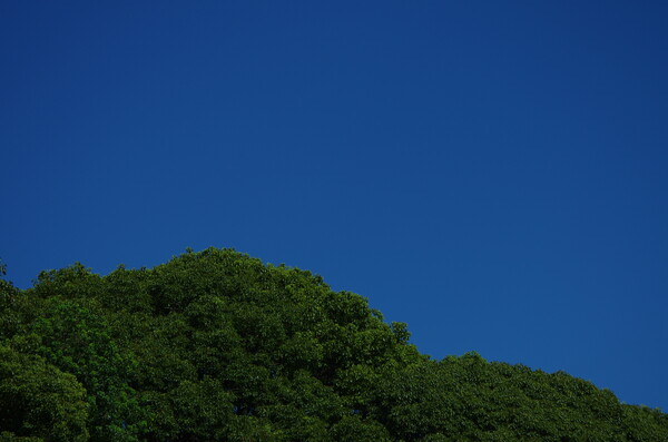 青い空