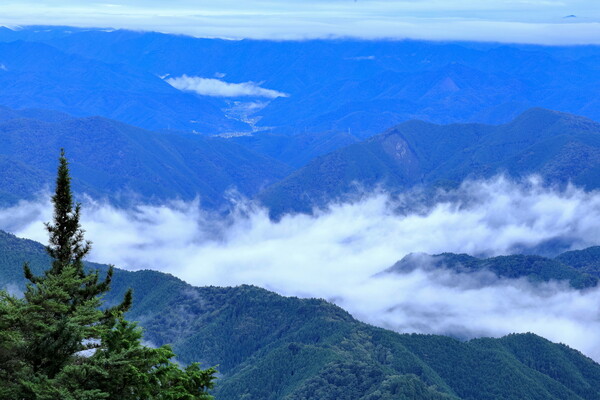 雲海 撮り