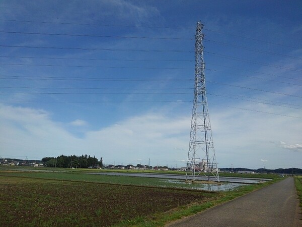 鉄塔のある水田地帯