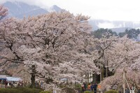 南アルプスと実相寺