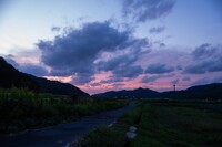 美しい夕焼けに・・。