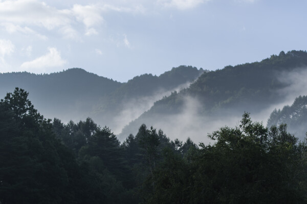 朝霧沸く