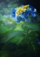 目覚め