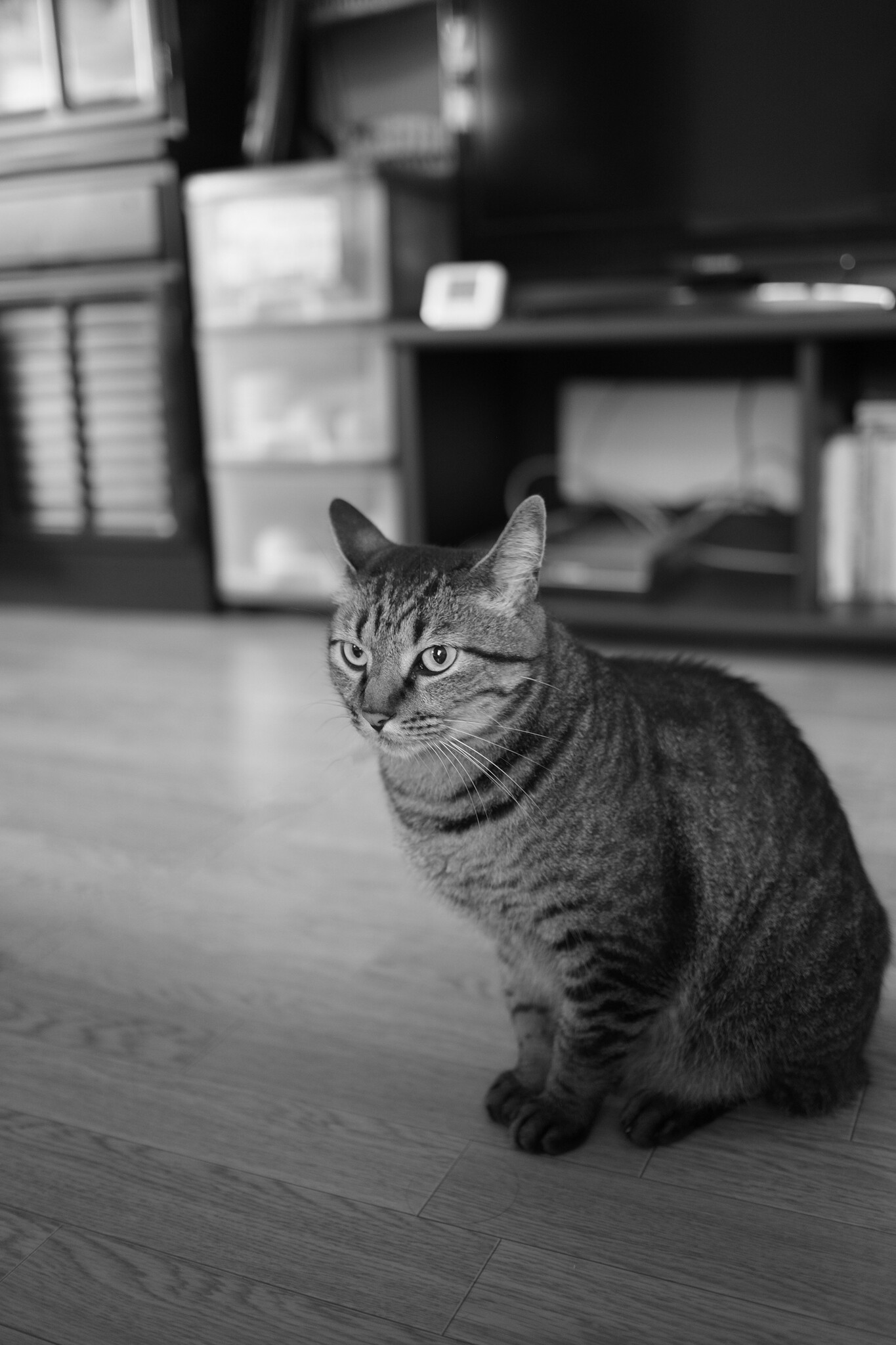 Fuji XF23 1.4