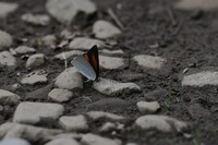 越後湯沢の山奥で 8