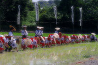 【写川柳】神事