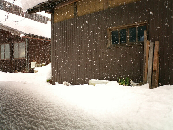 今日の天気