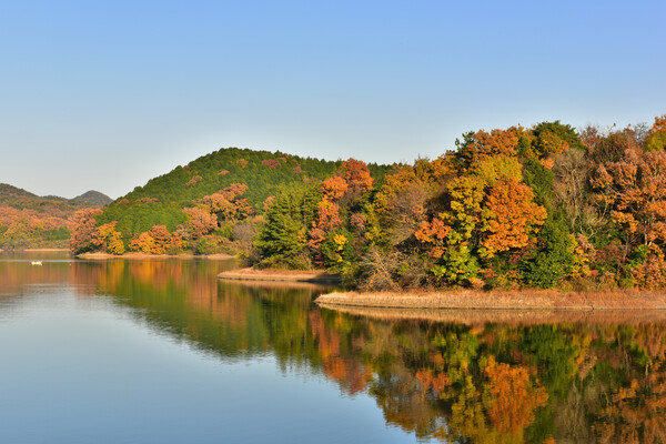人造湖の秋